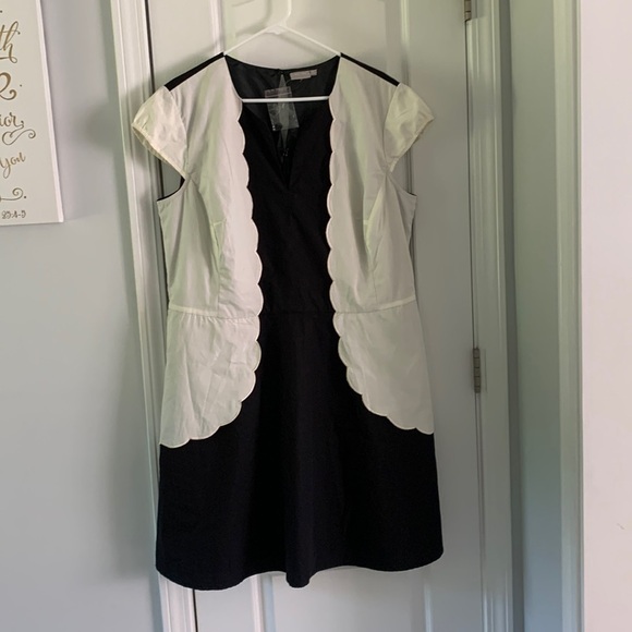 Eshakti black and Creme Scalloped dress size 2X-22W fit and flare‎ midi - Picture 1 of 11